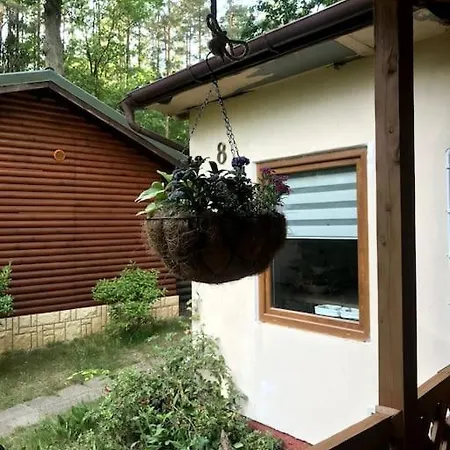 Fiolek - Nad Szelagiem Wielkim Holiday home *